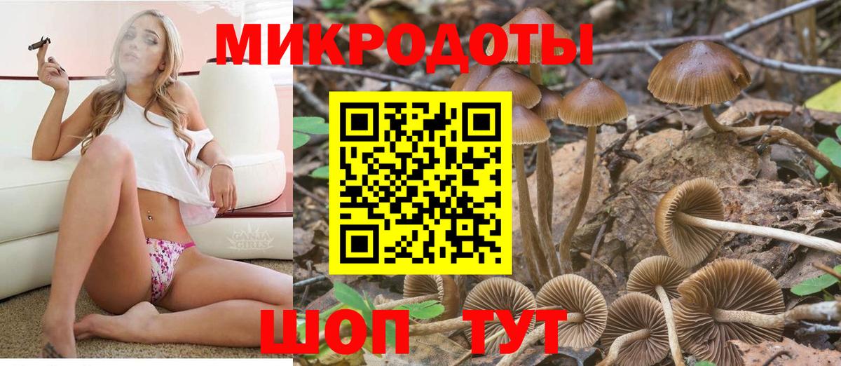 МЕФ Узловая